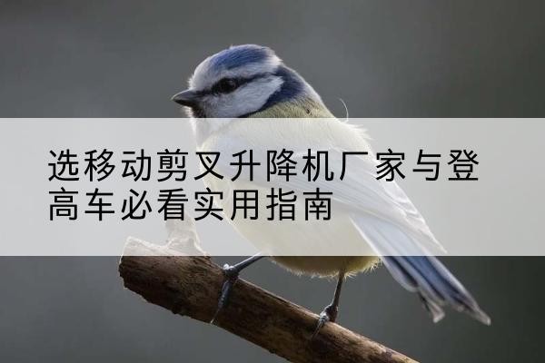 大竹电动升降机厂家-选移动剪叉升降机厂家与登高车必看实用指南
