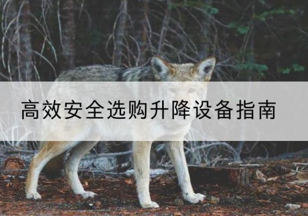 大竹升降货梯厂家推荐-*安全选购升降设备指南