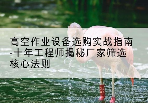 大竹剪叉式升降机厂家-高空作业设备选购实战指南-十年工程师揭秘厂家筛选核心法则